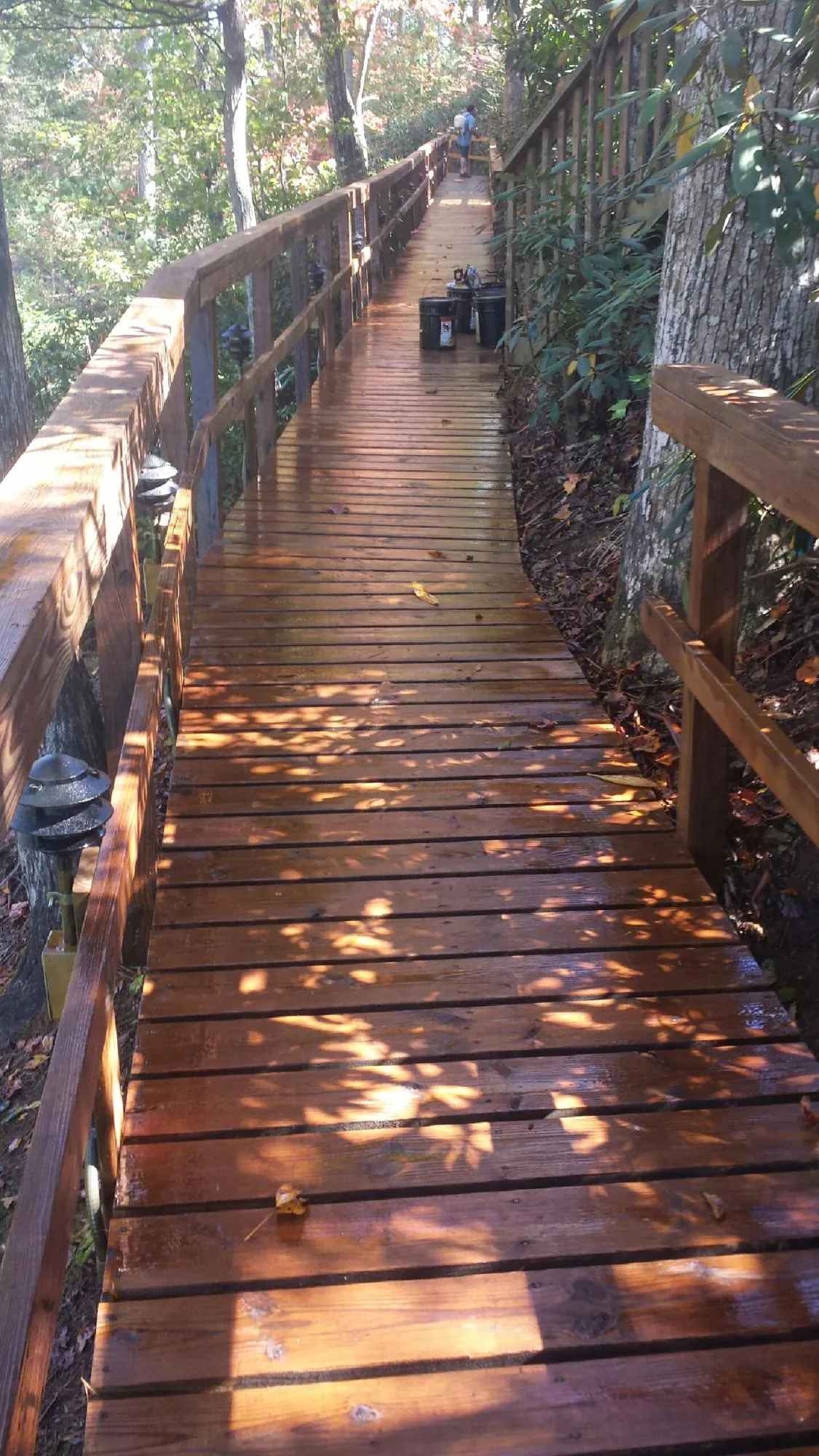 Freshly stained wood walkway winding through the woods in Vernalis